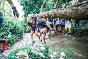 BIB: 
                            <button type="button" onclick="openModal(25467979)" class="btn btn-primary btn-sm float-right btn-popup" data-toggle="modal" data-target=".modal-high-quality">
                        <i class="fas fa-shopping-cart"></i> Add to Cart
                    </button>
                                            <button type="button" onclick="isThisMe(25467979, true)" class="btn btn-success btn-sm float-right btn-popup btn-isme hidden" data-toggle="tooltip" data-placement="bottom" title="นี่คือรูปของคุณใช่ไหม คลิกที่นี่เพื่อเอาเข้าอัลบั้ม">
                        <i class="fas fa-plus"></i> Add to album
                    </button>
                    <button type="button" onclick="isThisMe(25467979, false)" class="btn btn-warning btn-sm float-right btn-popup btn-isnotme hidden">
                        <i class="fas fa-ban"></i> Remove from album
                    </button>